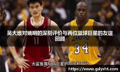 吴大维对姚明的深刻评价与两位篮球巨星的友谊回顾