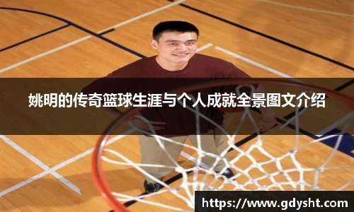 姚明的传奇篮球生涯与个人成就全景图文介绍