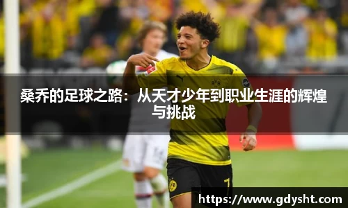 桑乔的足球之路：从天才少年到职业生涯的辉煌与挑战